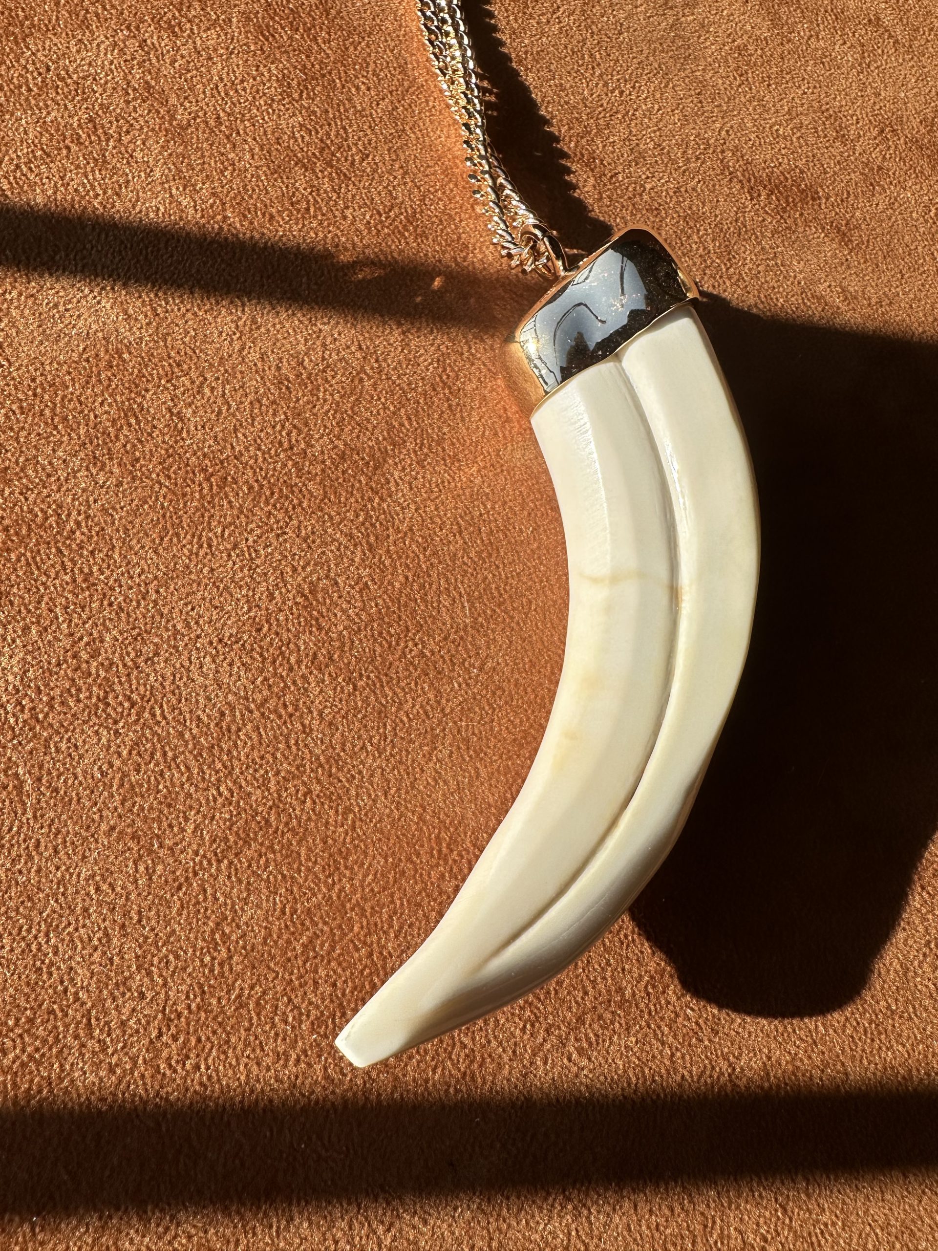 Pendente Zanna di Facocero - immagine 2